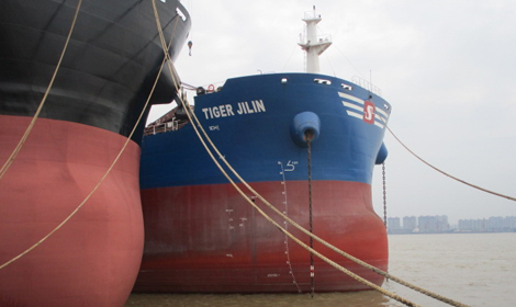 Tiger Jilin